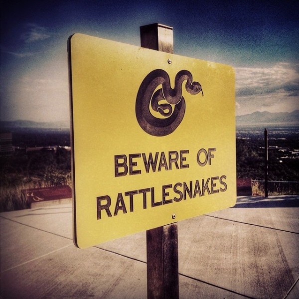 Beware of rattlesnakes on location