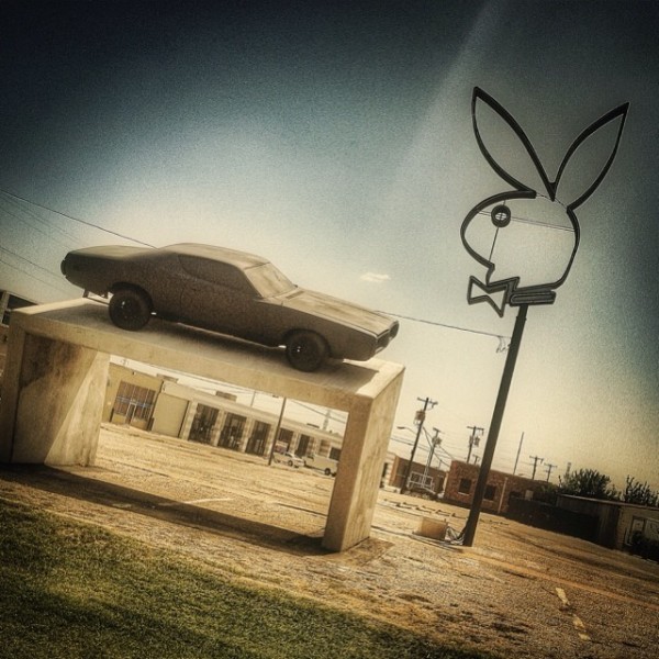 Bunny spotted on location!